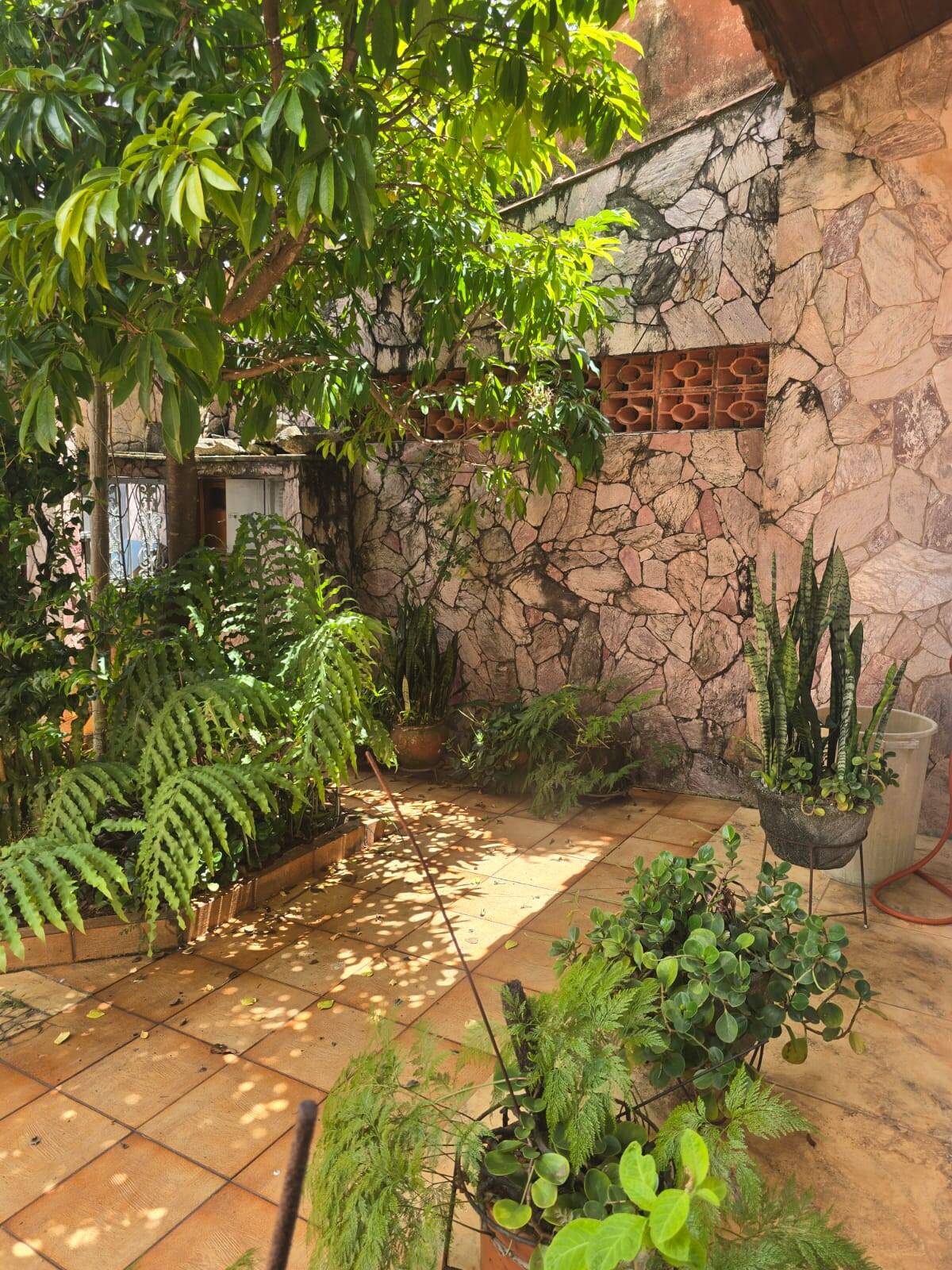 Casa, 4 quartos, 232 m² - Foto 6