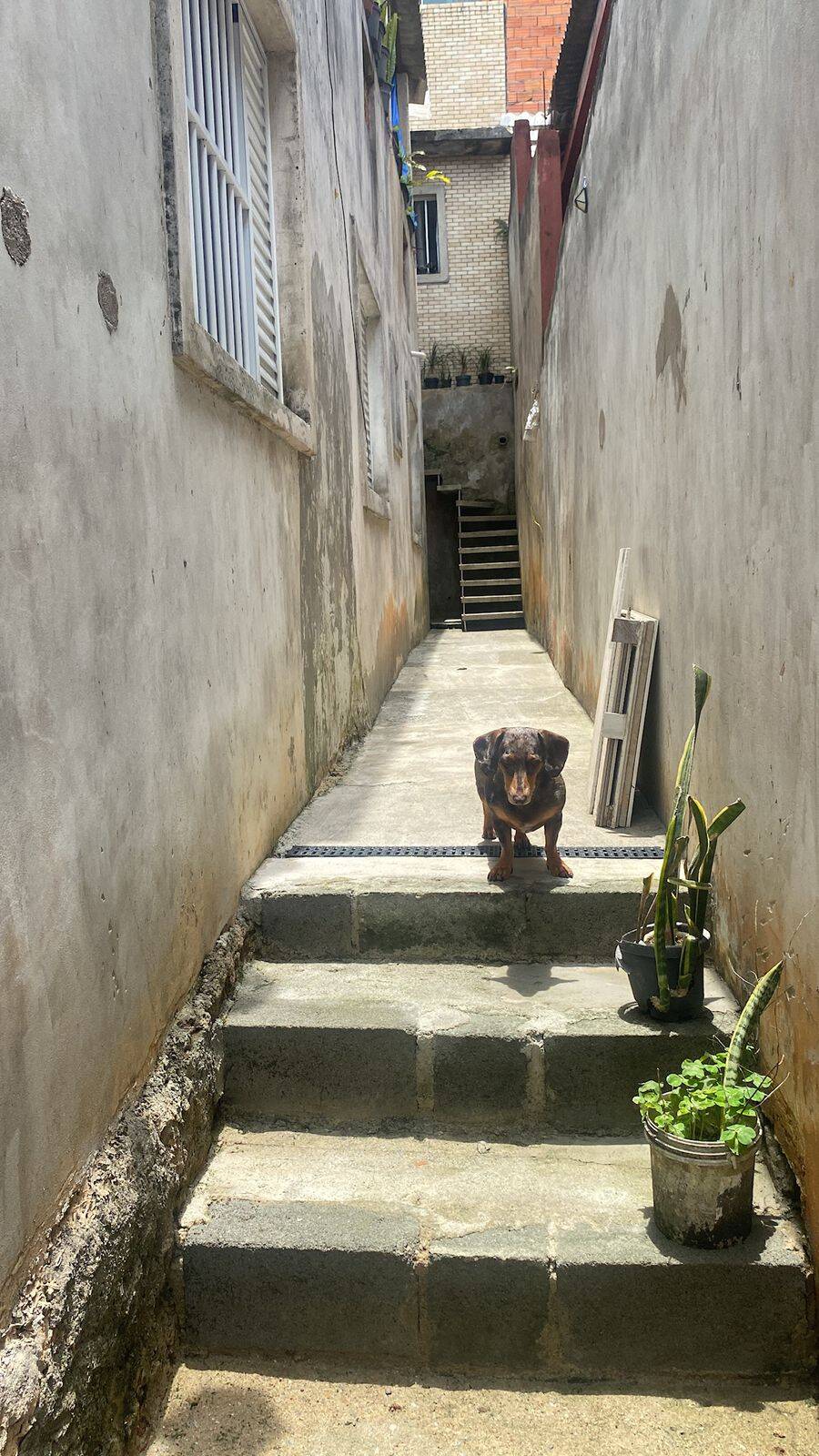 Sobrado, 4 quartos, 185 m² - Foto 11