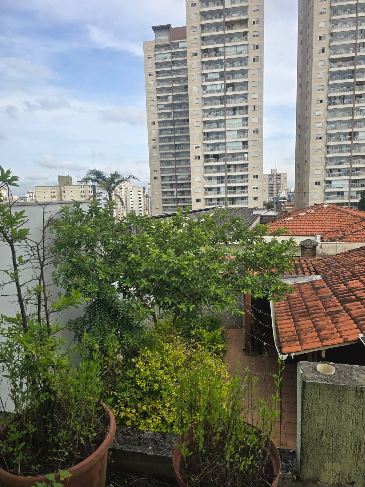 Casa, 3 quartos - Foto 19