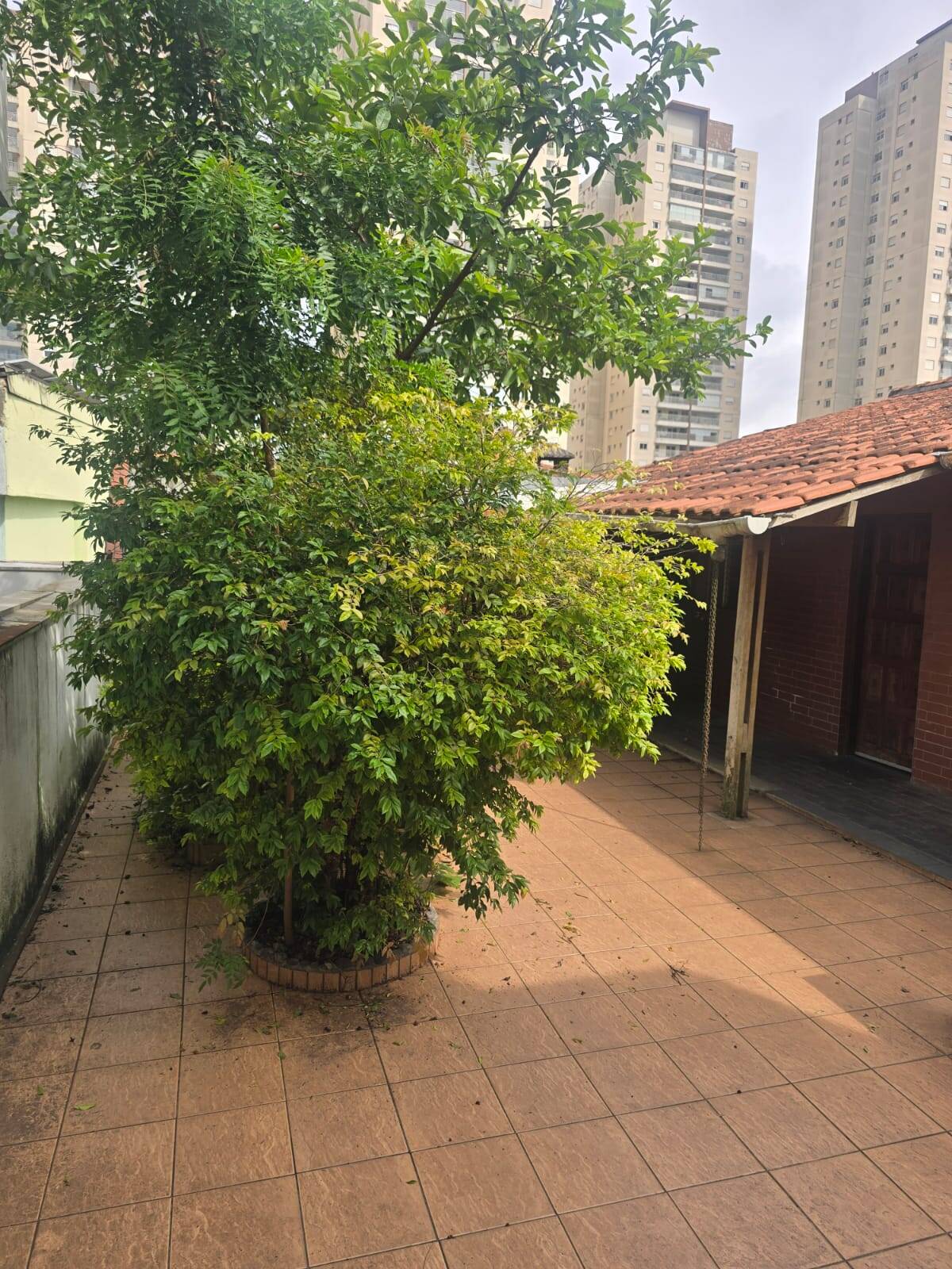 Casa, 3 quartos - Foto 20