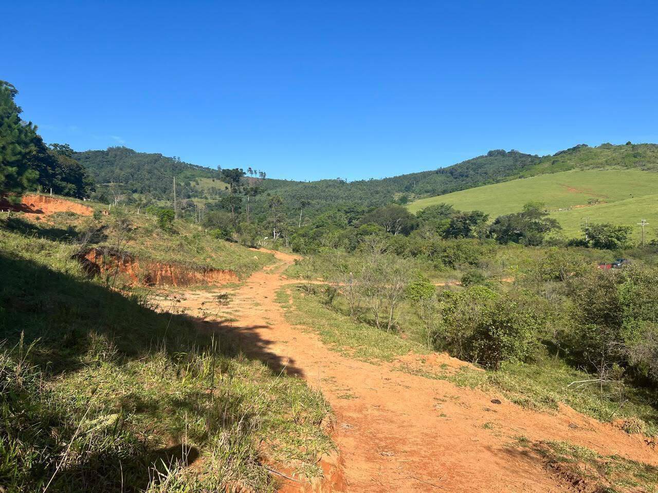 Terreno, 2 hectares - Foto 2