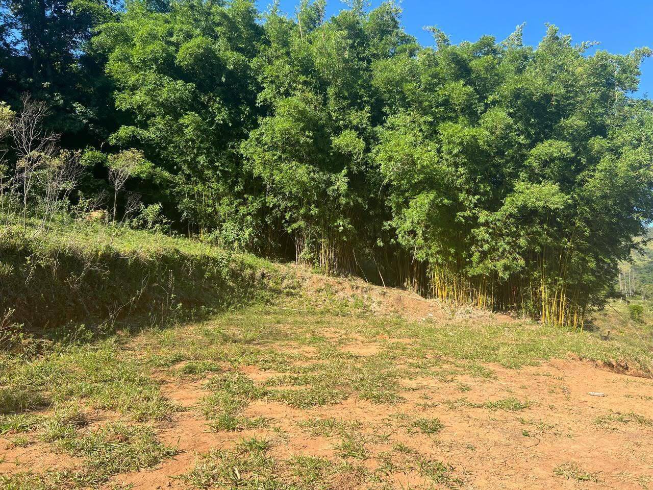 Terreno, 2 hectares - Foto 7
