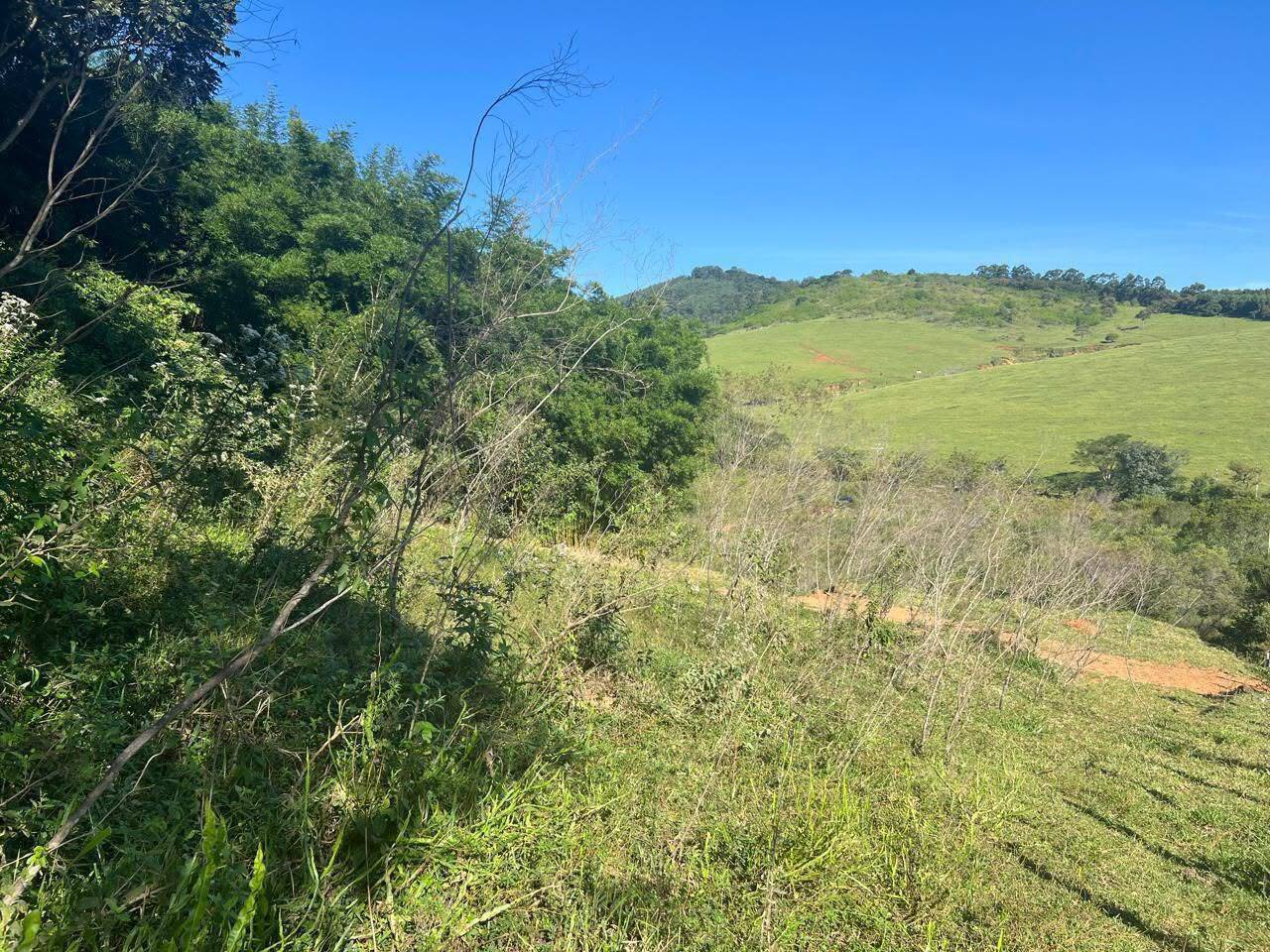 Terreno, 2 hectares - Foto 12