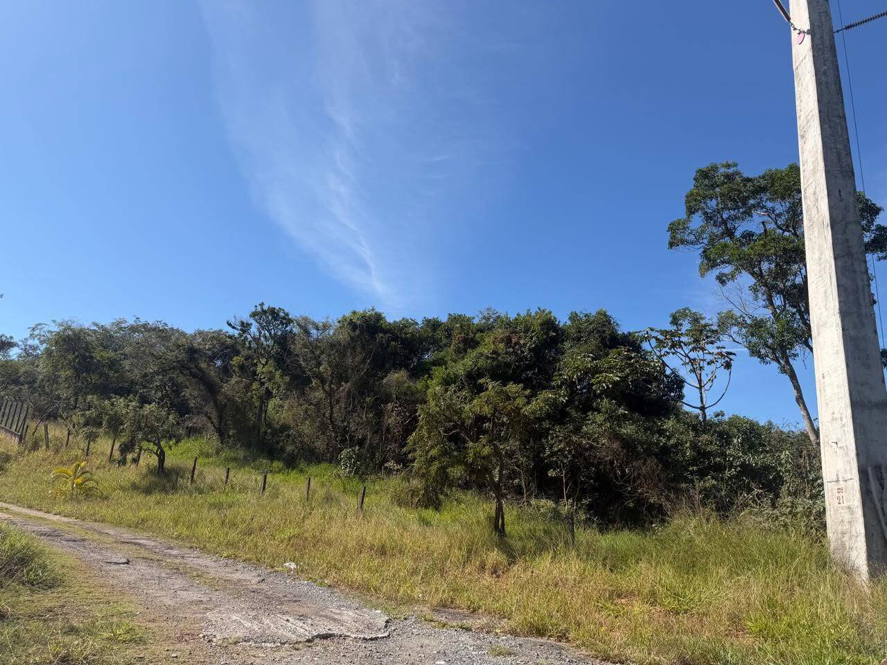 Terreno, 2 hectares - Foto 4